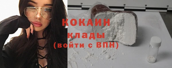 бошки Алексин