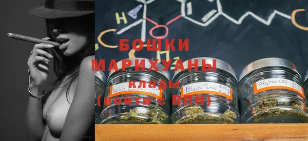 бошки Алексин