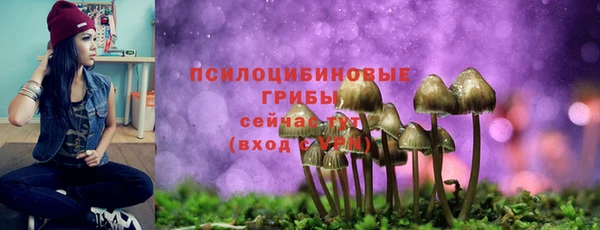 каннабис Пестово