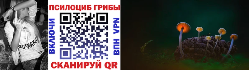 МЕГА как войти  Приморск  Галлюциногенные грибы мухоморы 